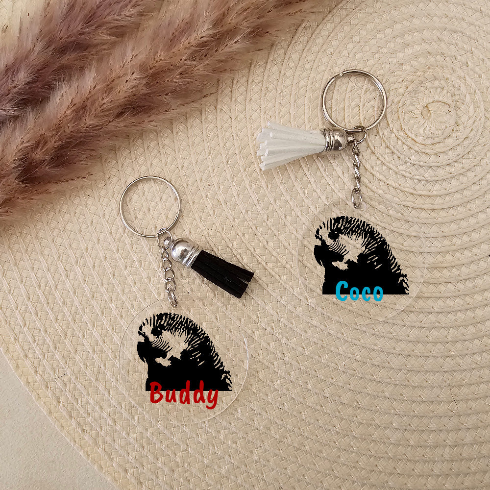 Sleutelhanger Plexiglas - Vogels