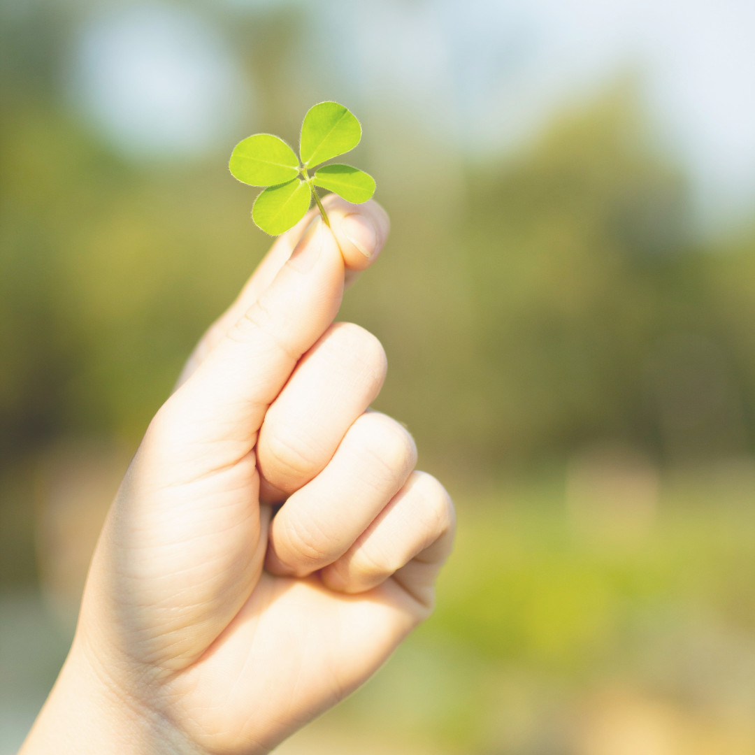 Houten kaarten - succes