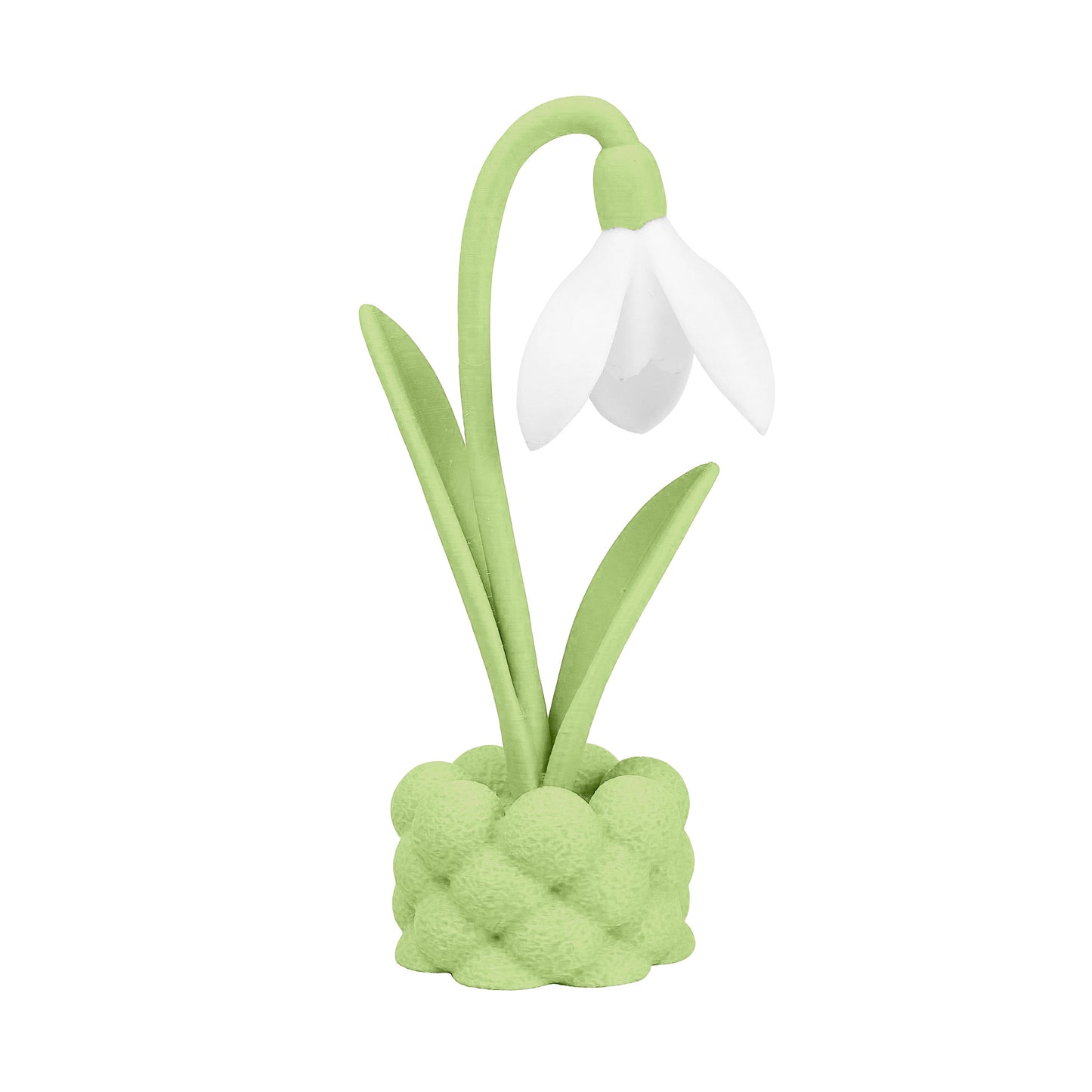 Geboortebloem 3D