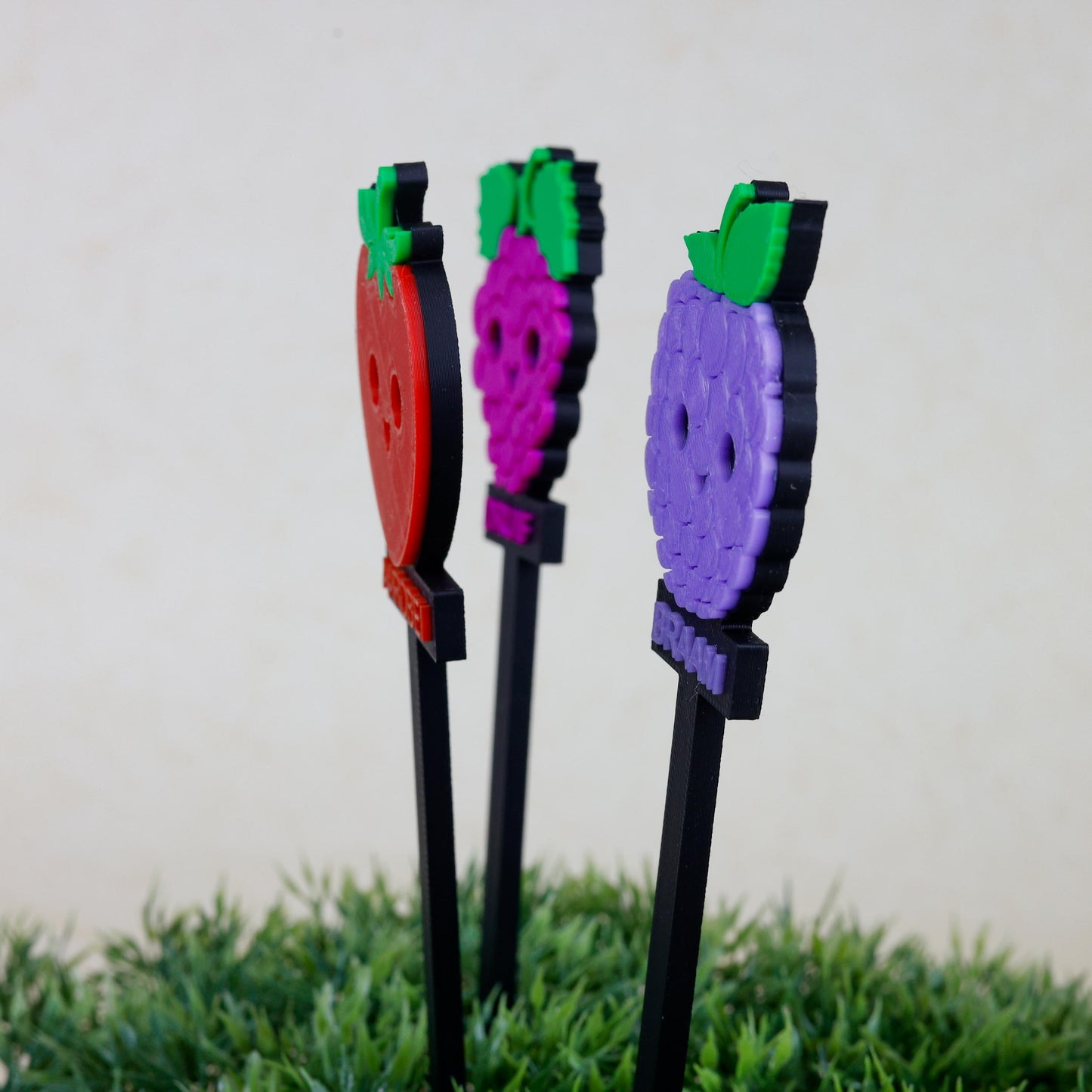 Plantenstekers - Fruit