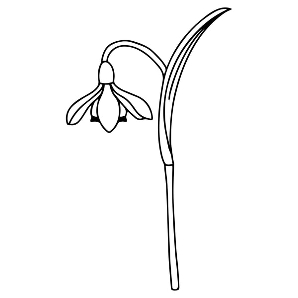 1.Januari