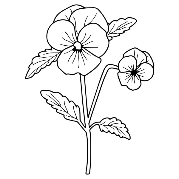 2.Februari