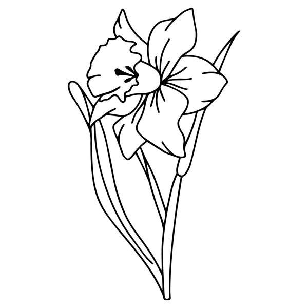 3.Maart
