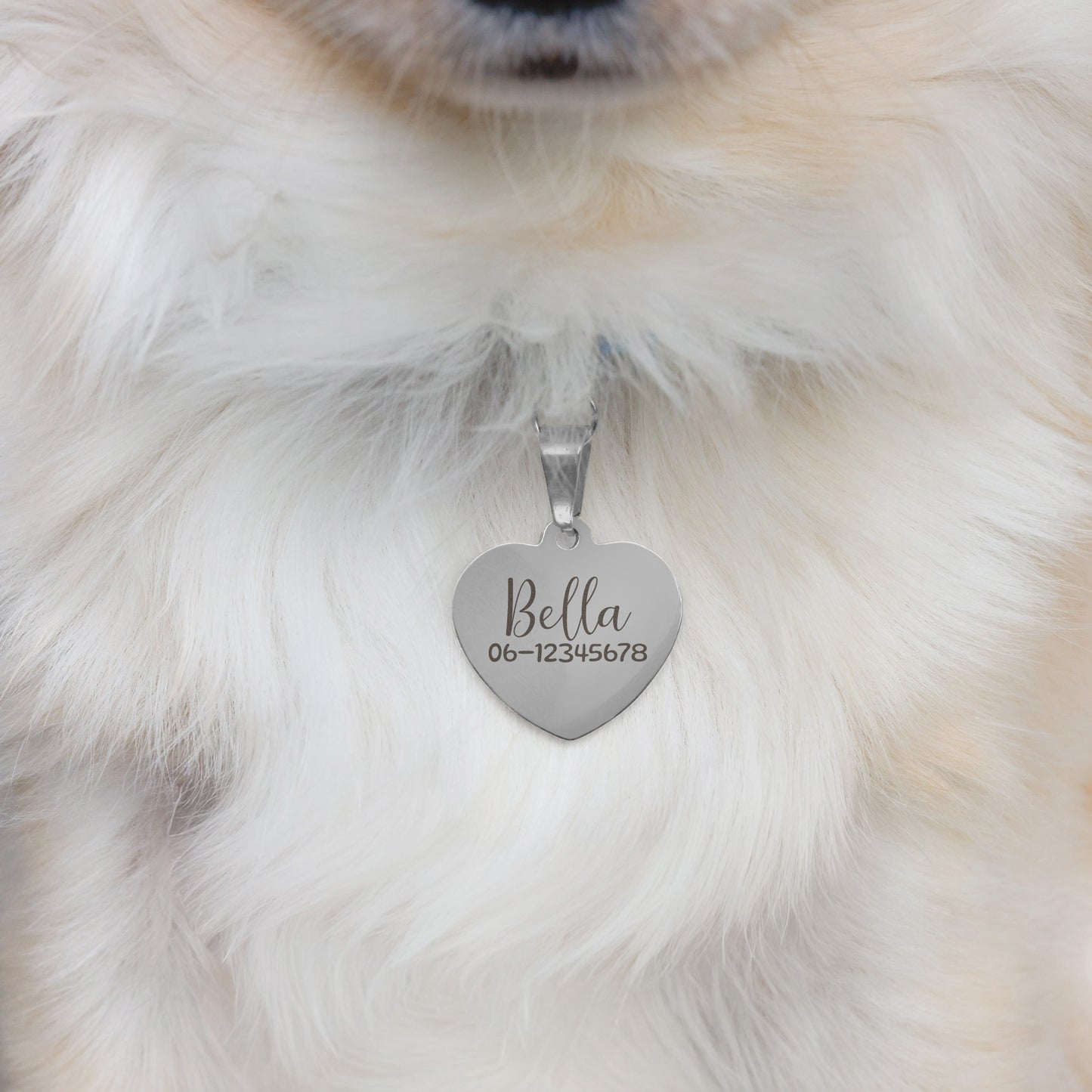 Hondenpenning Hartje - Minimal ID