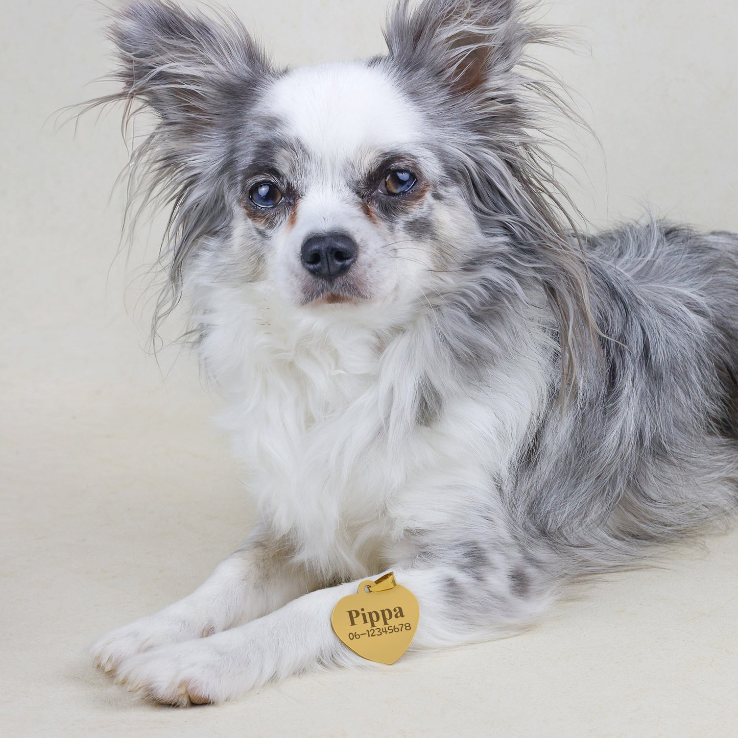 Hondenpenning Hartje - Minimal ID