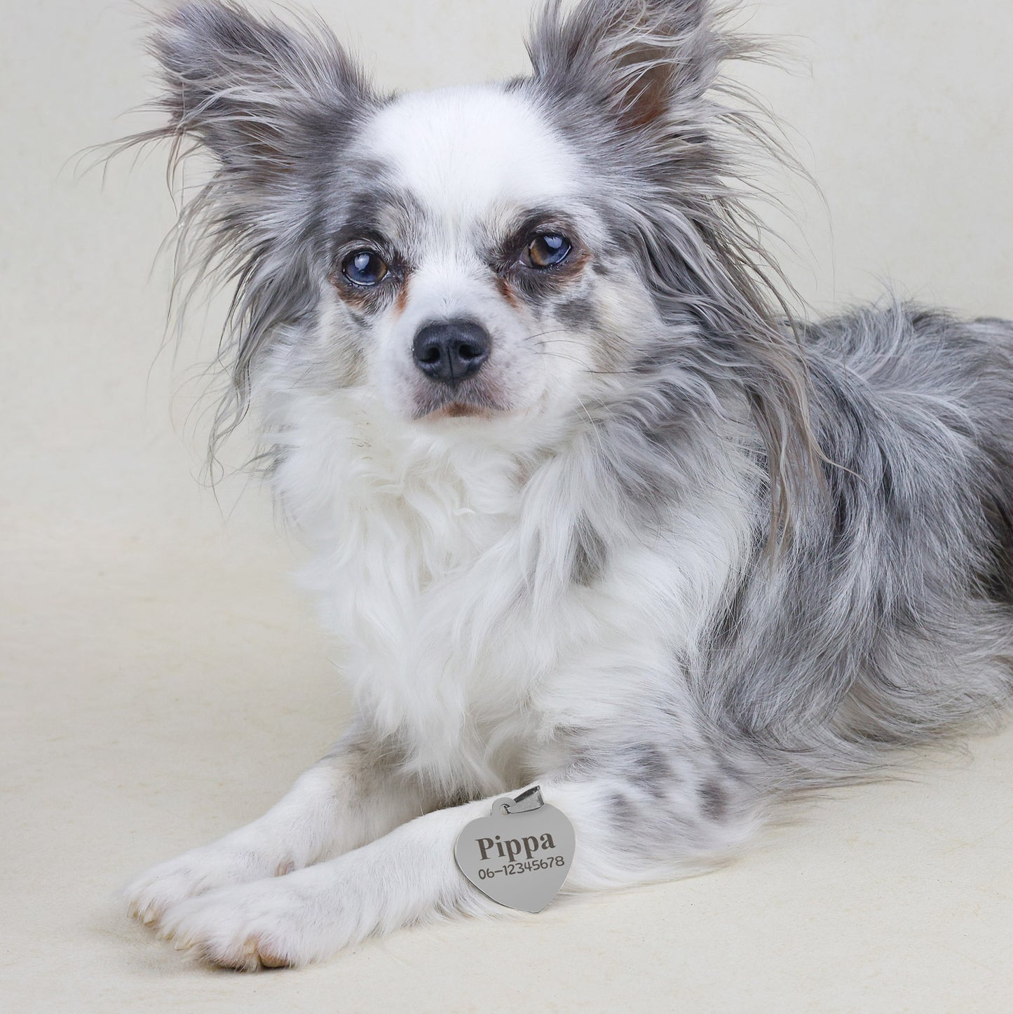 Hondenpenning Hartje - Minimal ID