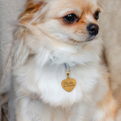 Hondenpenning Hartje - Minimal ID