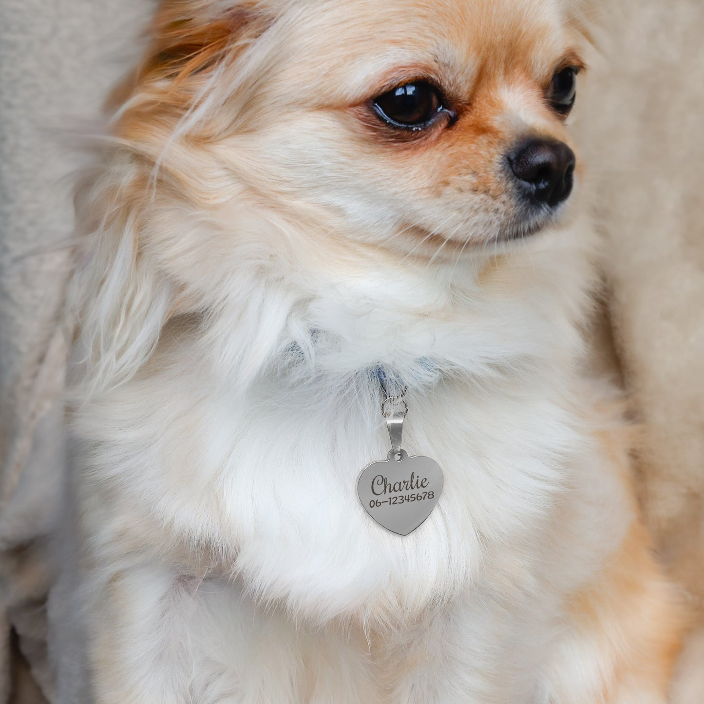 Hondenpenning Hartje - Minimal ID