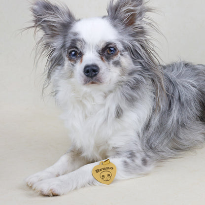 Hondenpenning Hartje - Neus ID