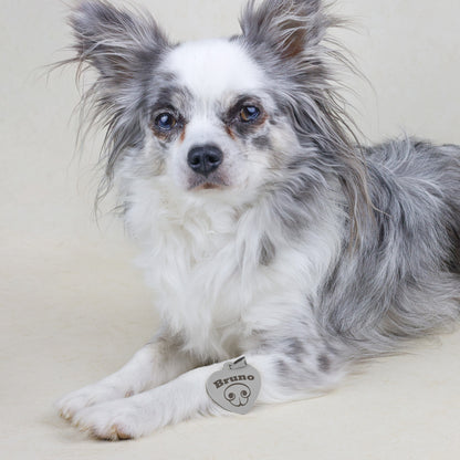 Hondenpenning Hartje - Neus ID