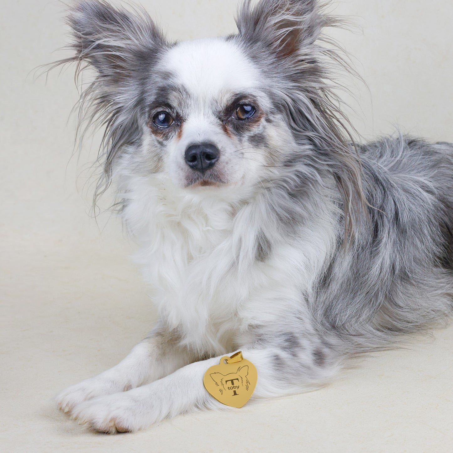 Hondenpenning Hartje - Oren ID