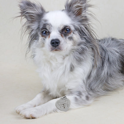 Hondenpenning Hartje - Oren ID