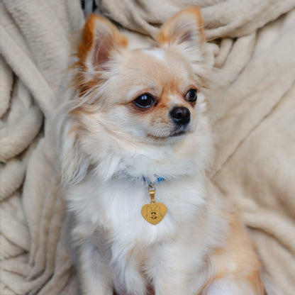 Hondenpenning Hartje - Oren ID