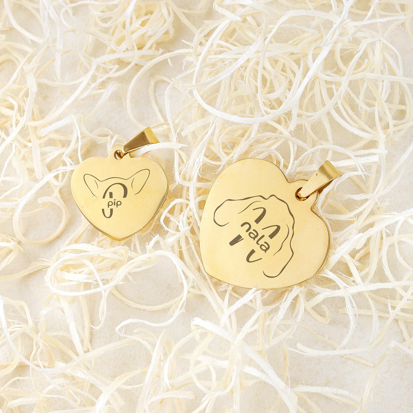 Hondenpenning Hartje - Oren ID