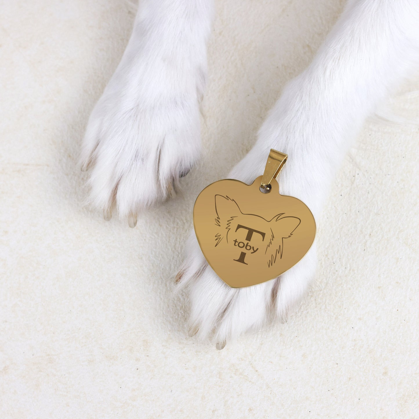 Hondenpenning Hartje - Oren ID