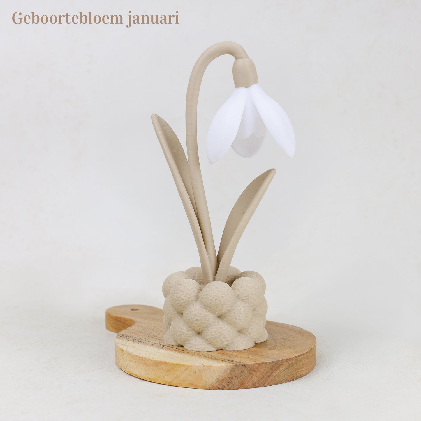 Geboortebloem 3D