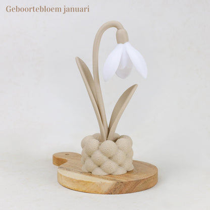 Geboortebloem 3D
