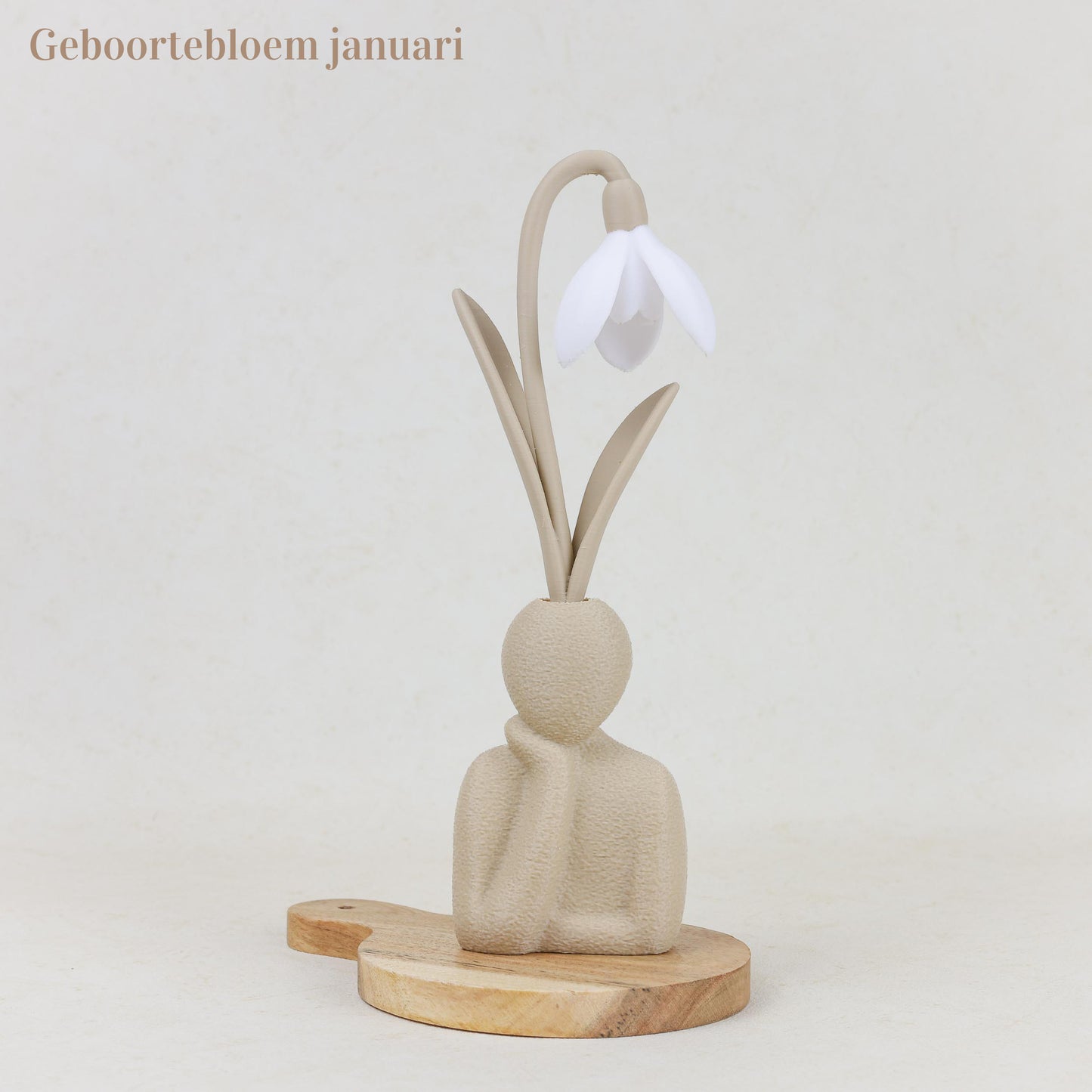 Geboortebloem 3D - Gezin