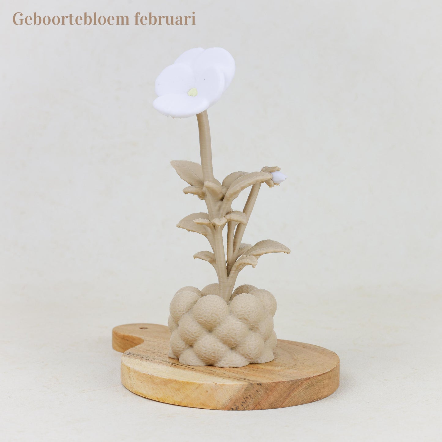 Geboortebloem 3D