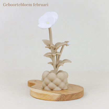 Geboortebloem 3D