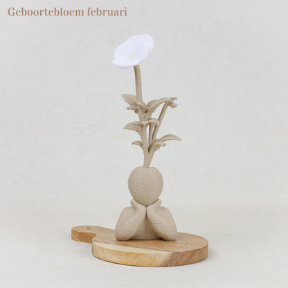Geboortebloem 3D - Gezin