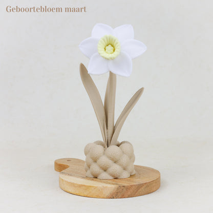 Geboortebloem 3D