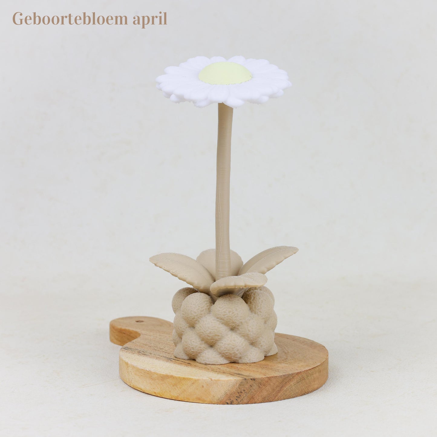 Geboortebloem 3D