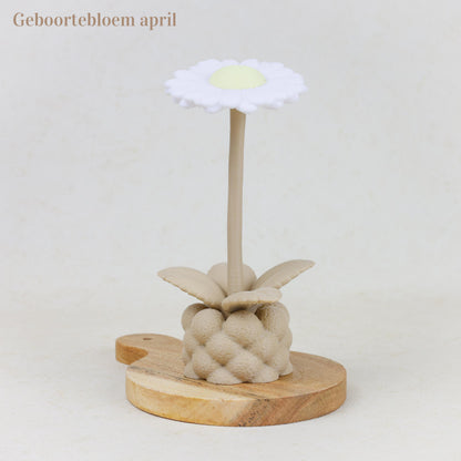 Geboortebloem 3D