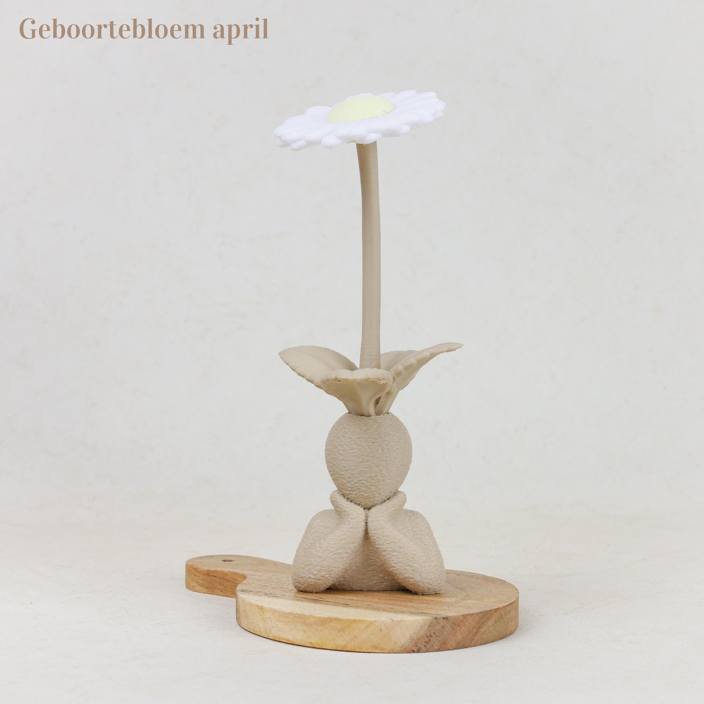 Geboortebloem 3D - Gezin