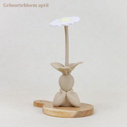 Geboortebloem 3D - Gezin