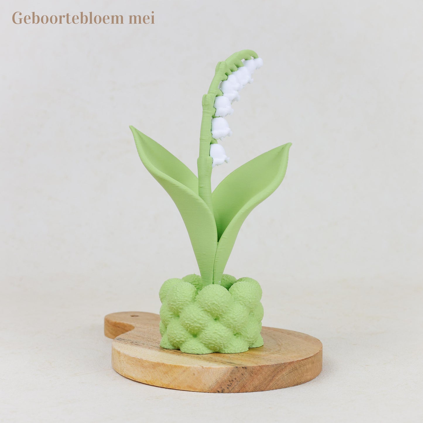 Geboortebloem 3D