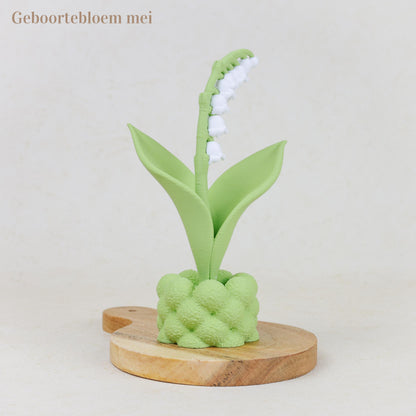 Geboortebloem 3D