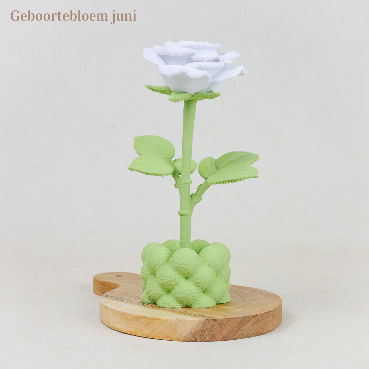 Geboortebloem 3D