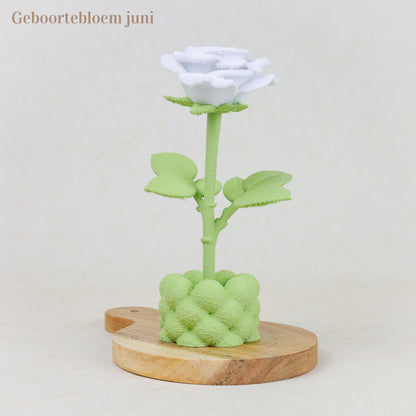 Geboortebloem 3D