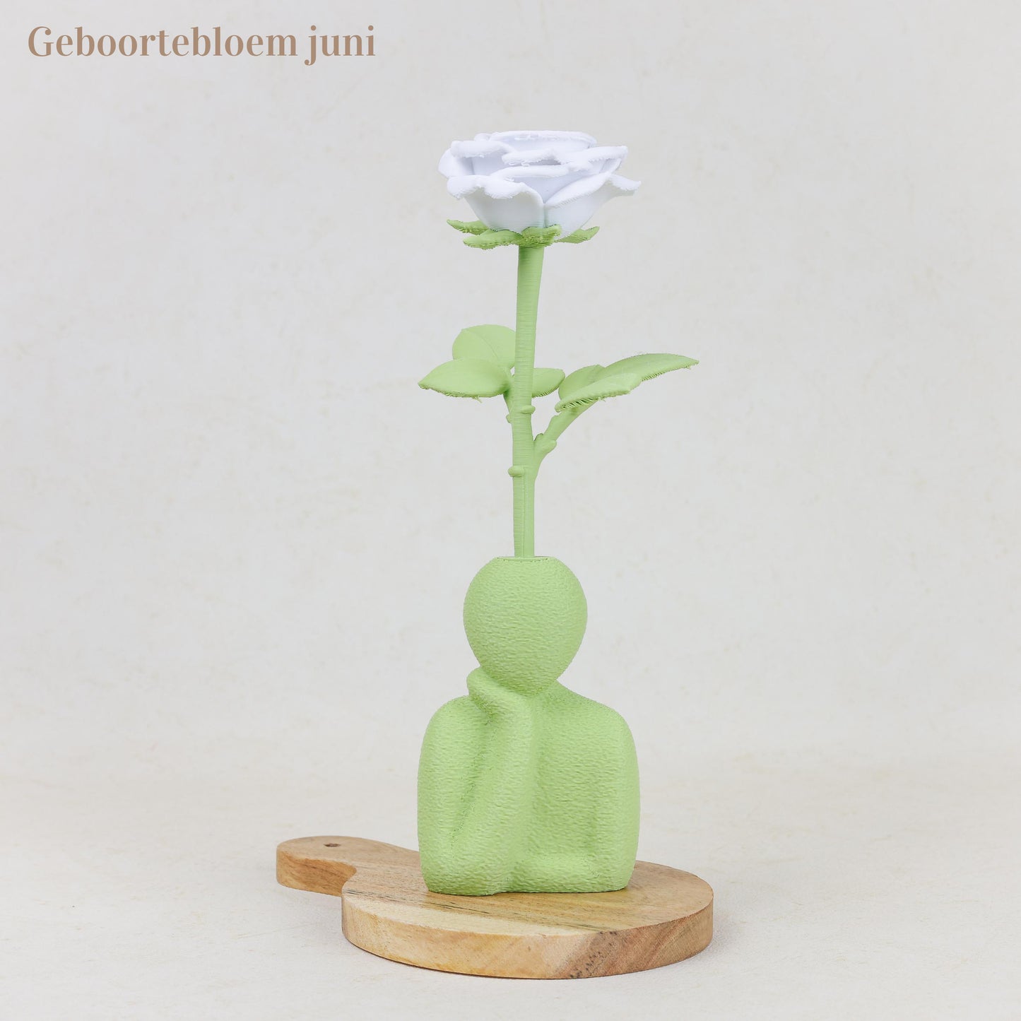 Geboortebloem 3D - Gezin