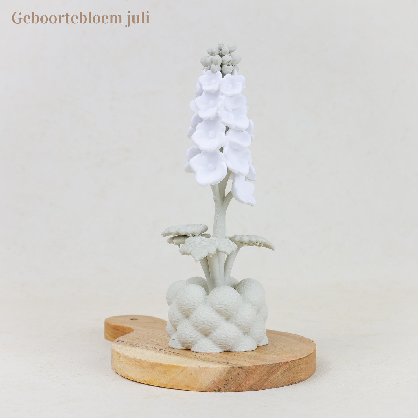 Geboortebloem 3D