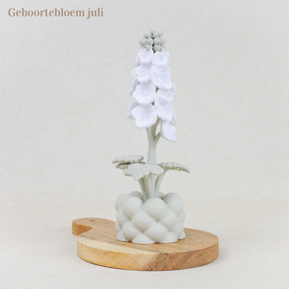 Geboortebloem 3D