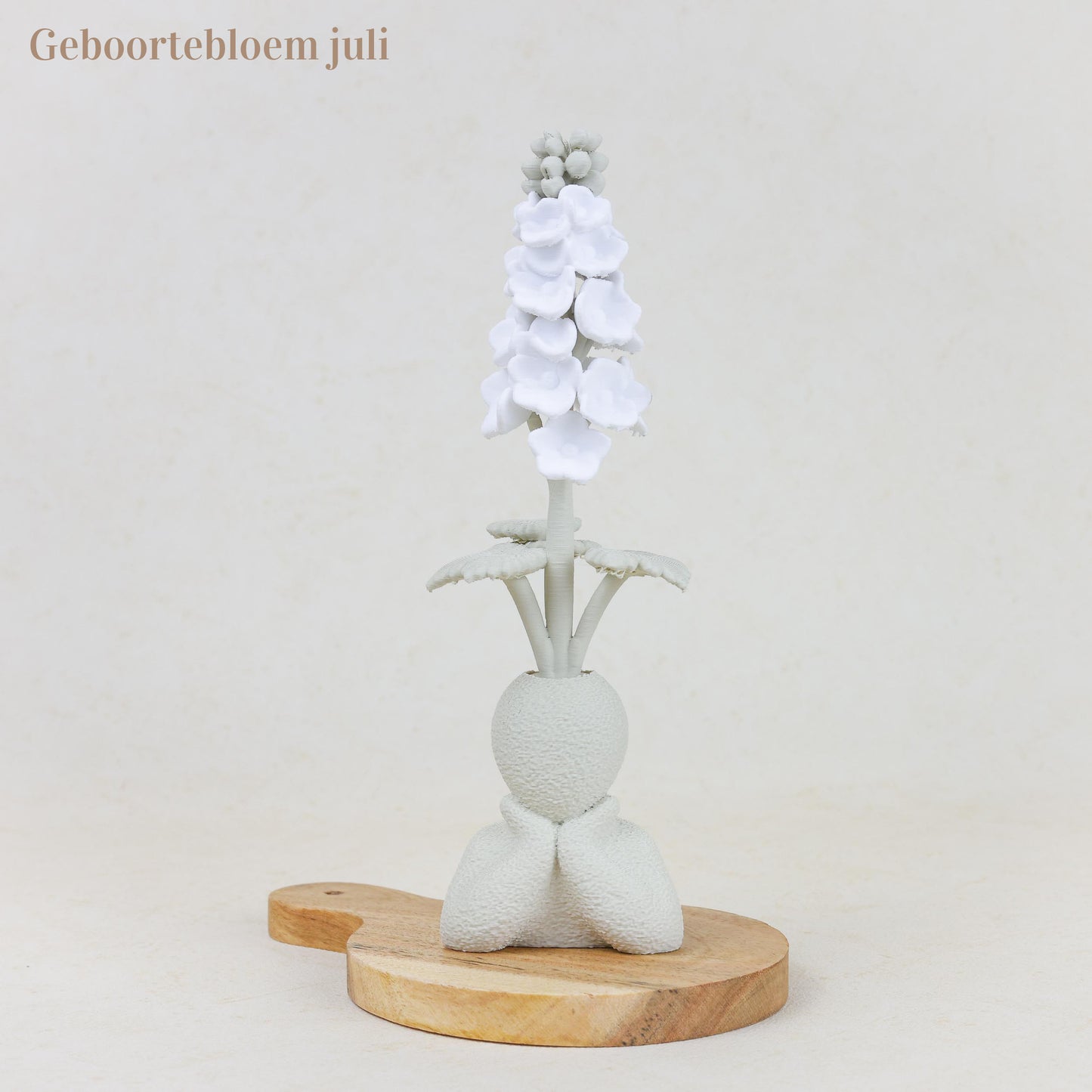 Geboortebloem 3D - Gezin