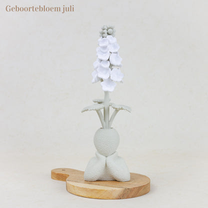 Geboortebloem 3D - Gezin