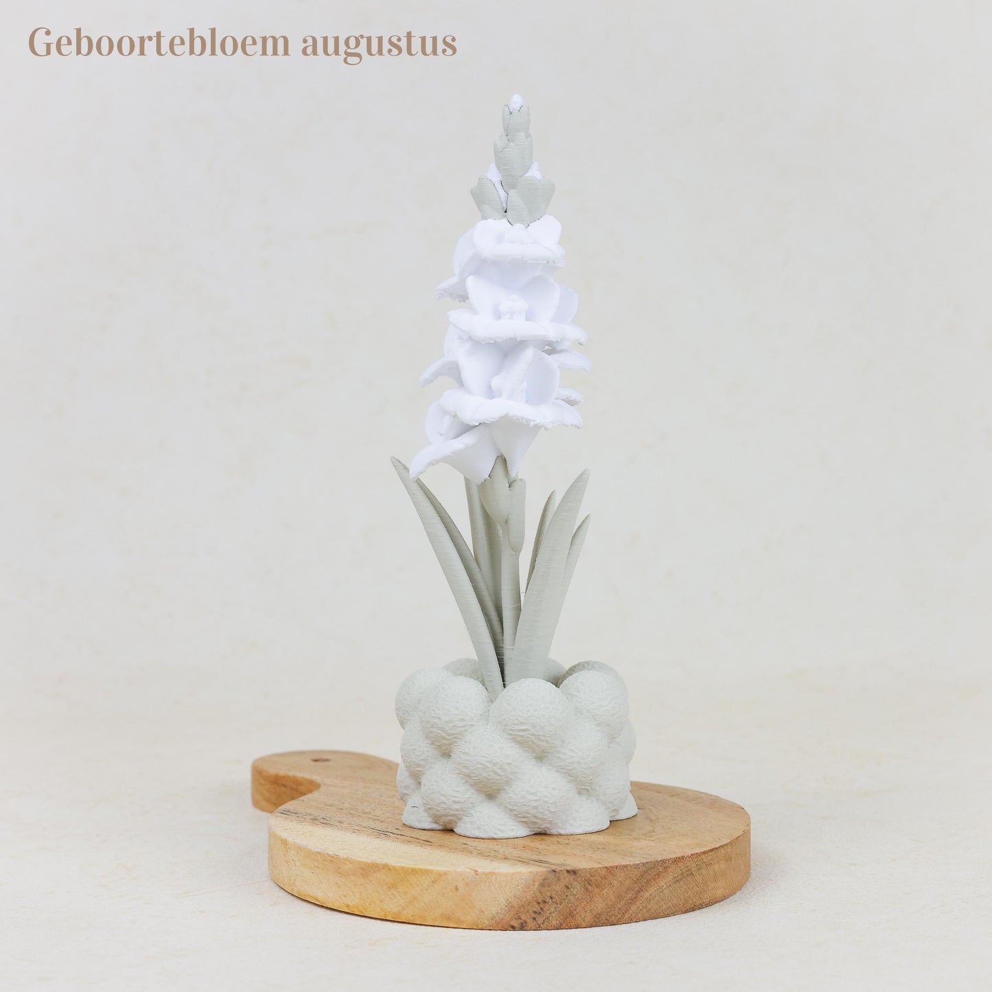 Geboortebloem 3D