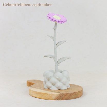 Geboortebloem 3D