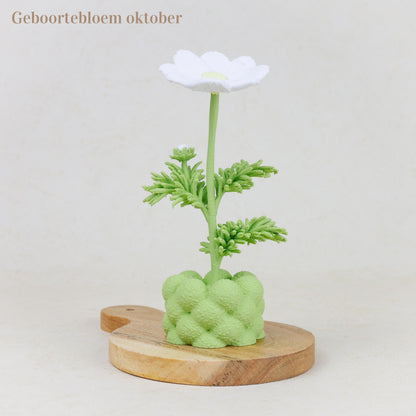 Geboortebloem 3D