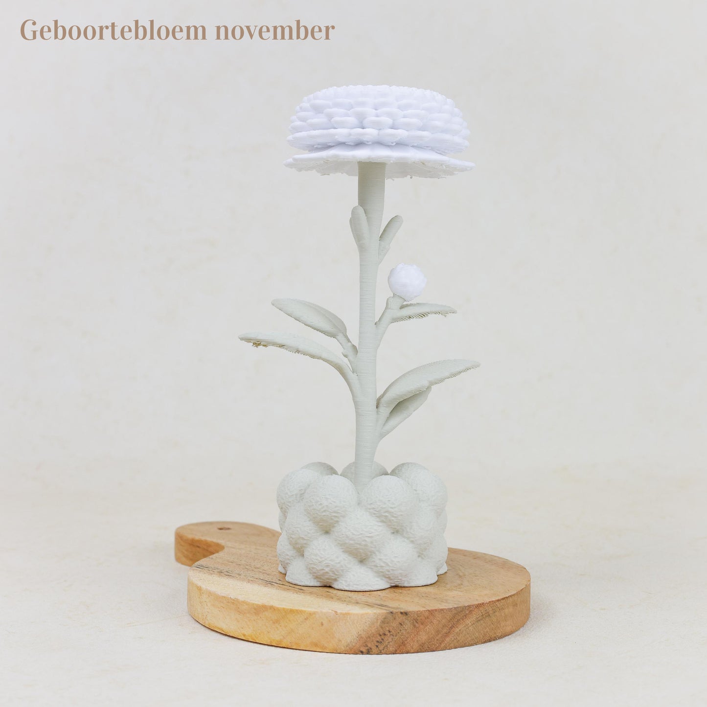 Geboortebloem 3D